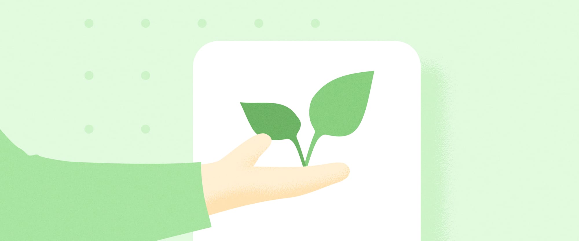 How to support startups after graduation – and why should accelerators do it