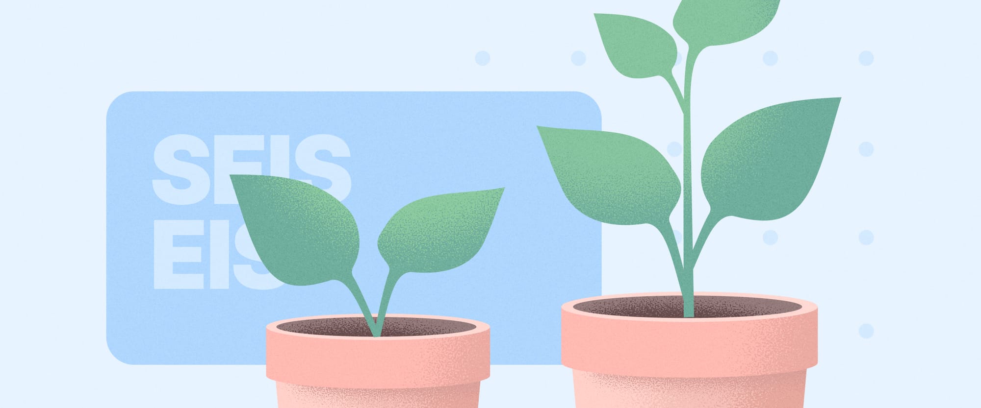 SEIS & EIS done right: reducing risk and building trust with Dealum